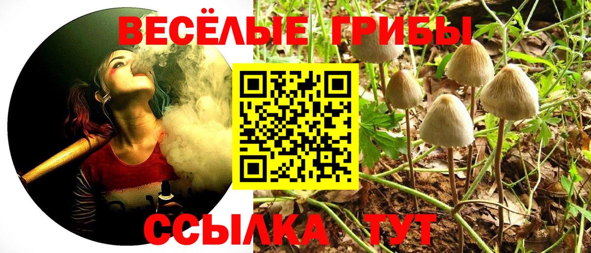купить  цена  Галлюциногенные грибы мицелий  Псилоцибиновые грибы ЛСД  Вход с VPN  Благодарный 