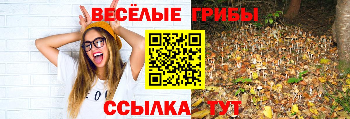 Псилоцибиновые грибы ЛСД Благодарный